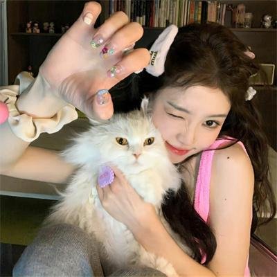 哈拉猛男秀2:欧洲种马